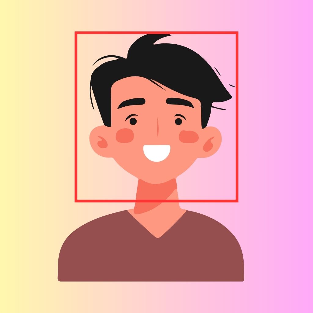 Image Classification
